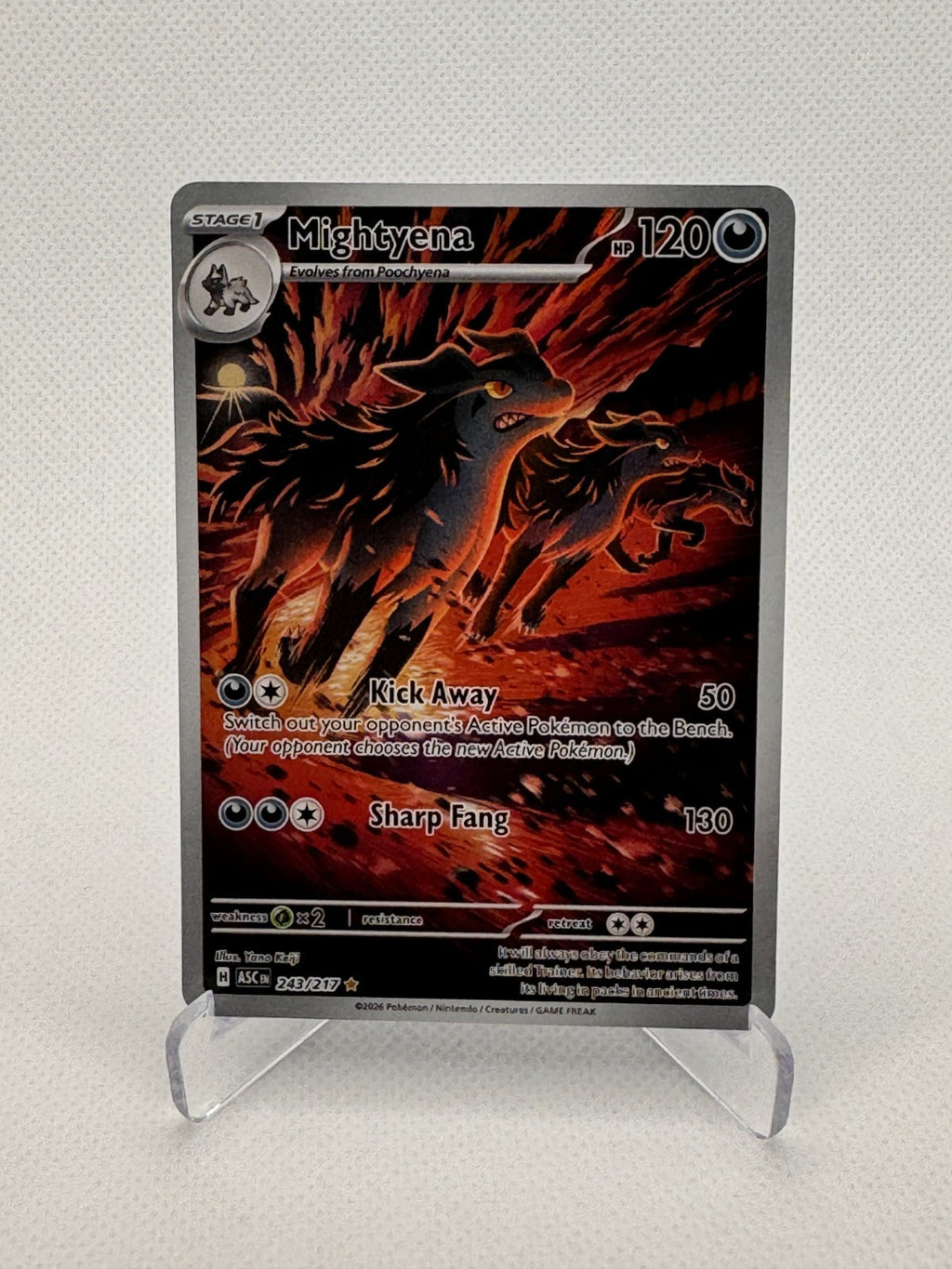 Mightyena Ascended Heroes Illustration Rare 243/217