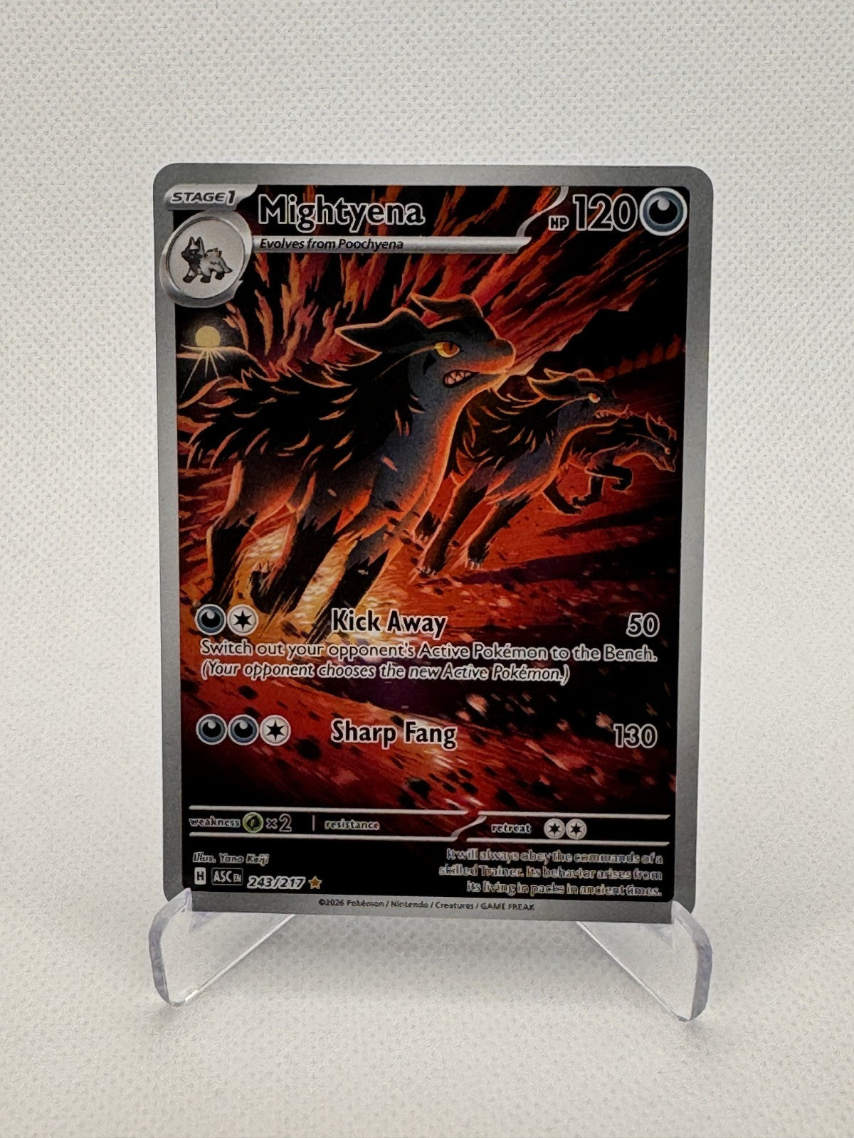 Mightyena Ascended Heroes Illustration Rare 243/217